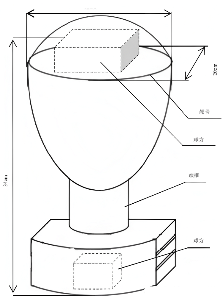 WS667-2019頭部和頸部模體 WS667-2019頭部和頸部模體