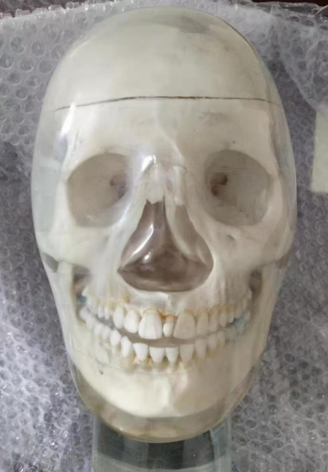 1754611873065 1754611873065