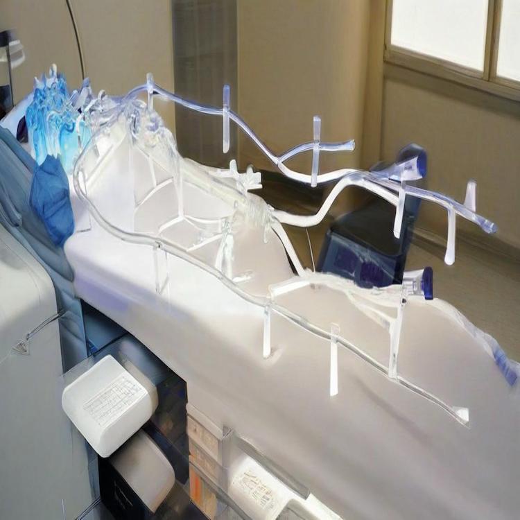 05DC2554593DF6B3D42261B397258750 05DC2554593DF6B3D42261B397258750