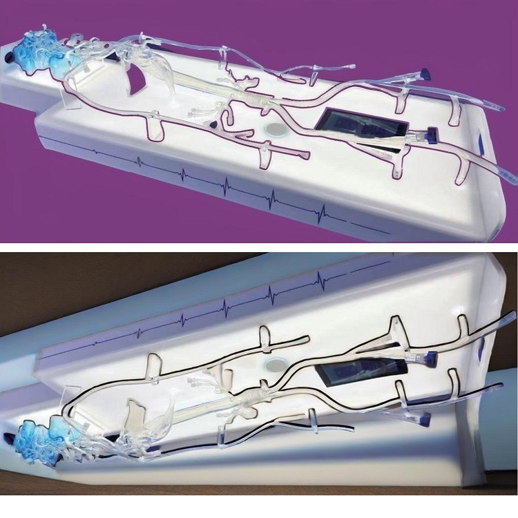 7A1FD30F7448C9F2E49226CBA75CBD7C 7A1FD30F7448C9F2E49226CBA75CBD7C