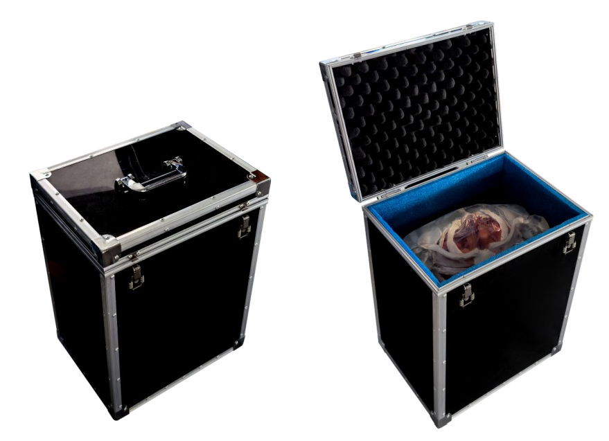 9b152ed5-1bff-4483-b6df-e09d03ad746b 9b152ed5-1bff-4483-b6df-e09d03ad746b